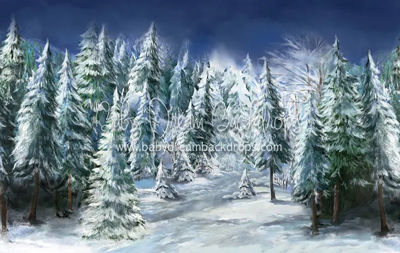 X Drop Winter Trail 1