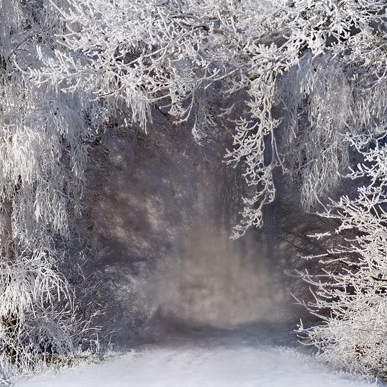 X Drop Winter Wonders 1