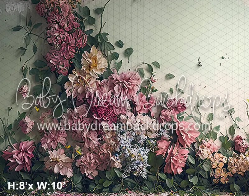 Zahrah Wall (Bd) 1